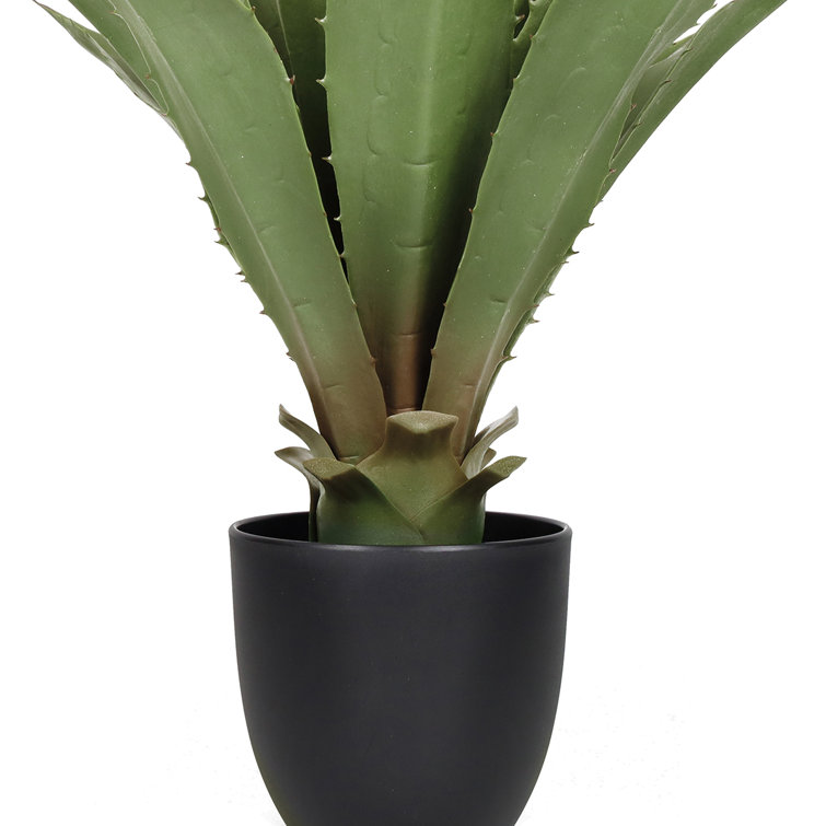 Primrue Coleman 20'' Faux Agave Plant in Pot Wayfair